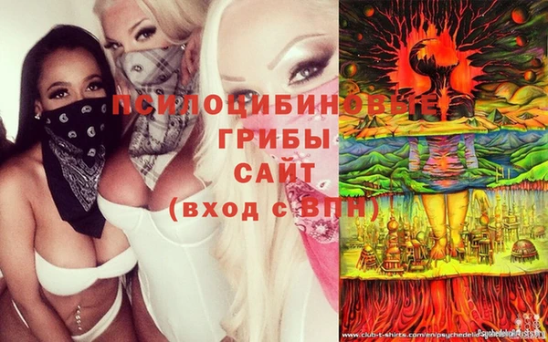 винт Алексеевка