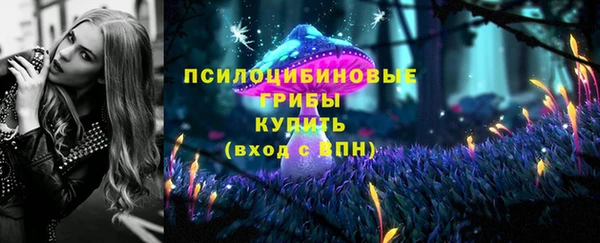 трава Алзамай