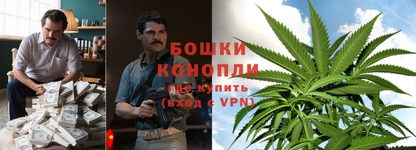 трава Алзамай