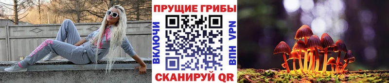 как найти наркотики  Бийск  Галлюциногенные грибы мицелий 