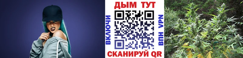 Конопля AK-47  Бийск 